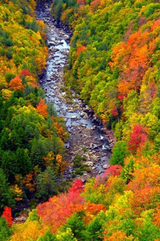 Blackwater Falls State Park Lodge Davis Exteriör bild